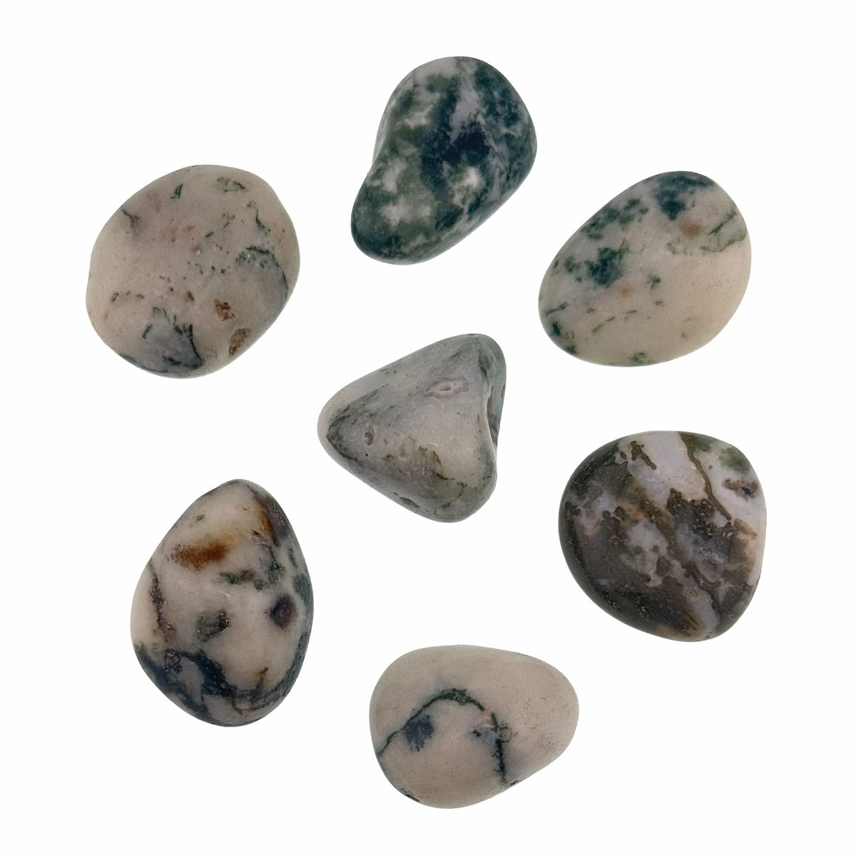 Tree Agate Tumbled Healing Crystals