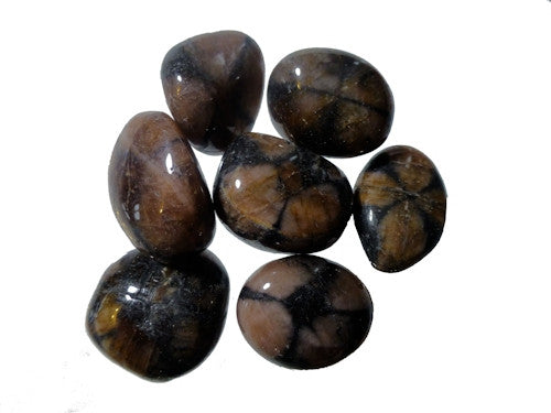 Chiastolite Tumble Stone