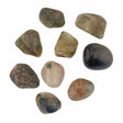 Actinolite (witches finger) Tumbled Stone