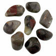 Bloodstone Seftonite from South Africa Tumble Stones Medium