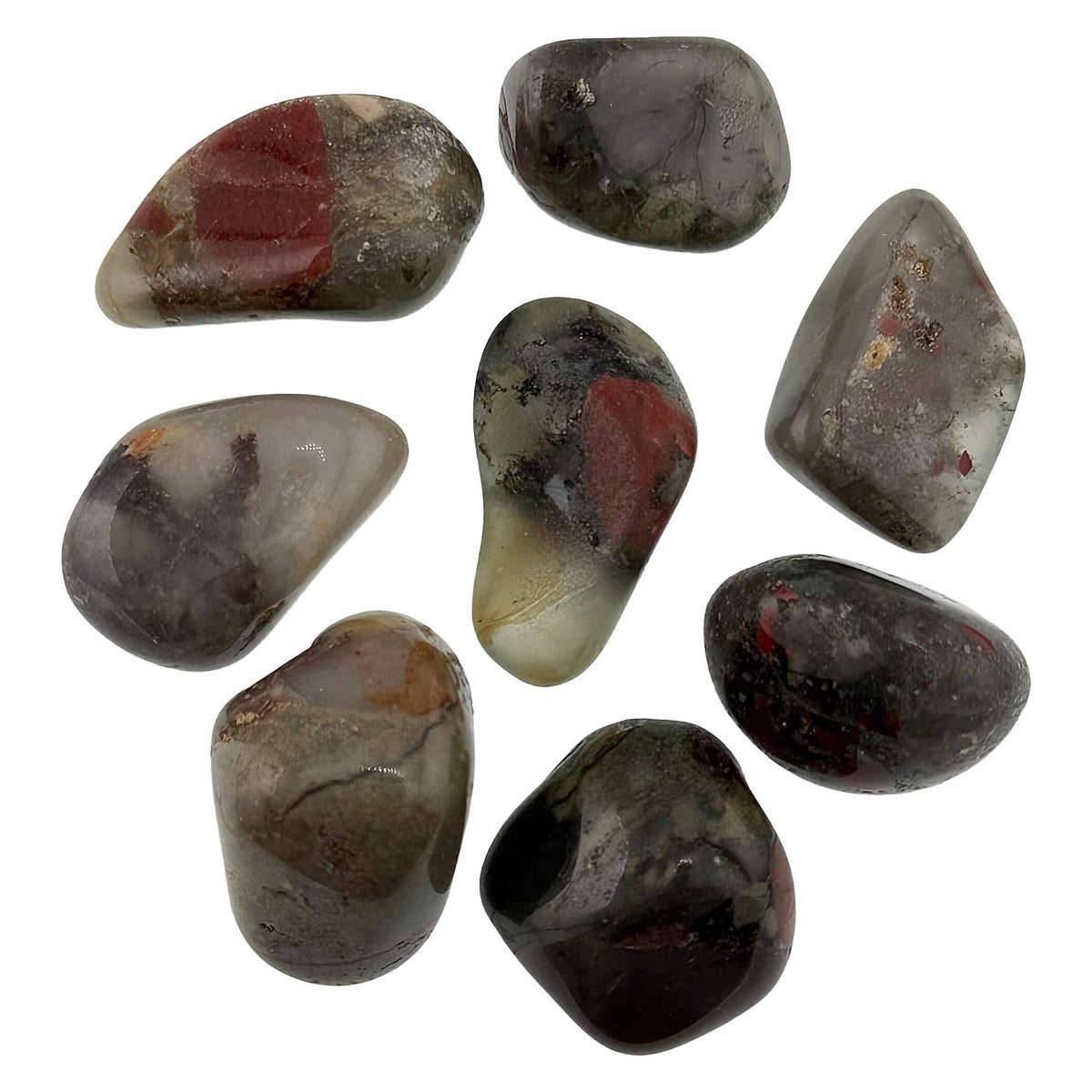 Bloodstone Seftonite from South Africa Tumble Stones Medium