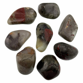 Bloodstone Seftonite from South Africa Tumble Stones Medium