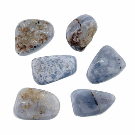 Blue Chalcedony Tumble Stones Medium