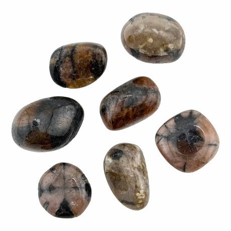 Chiastolite Tumble Stones