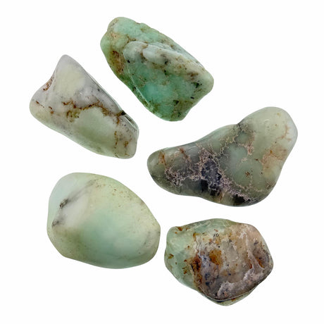 Chrysoprase Tumble Stones Large
