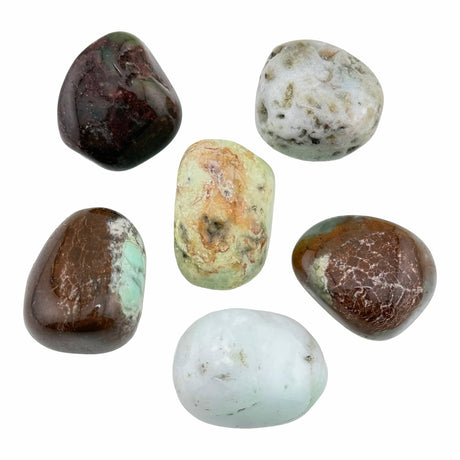Chrysoprase Tumble Stones Medium