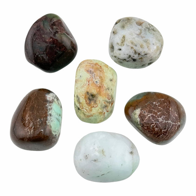 Chrysoprase Tumble Stones Medium