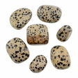 dalmation jasper tumbled stone