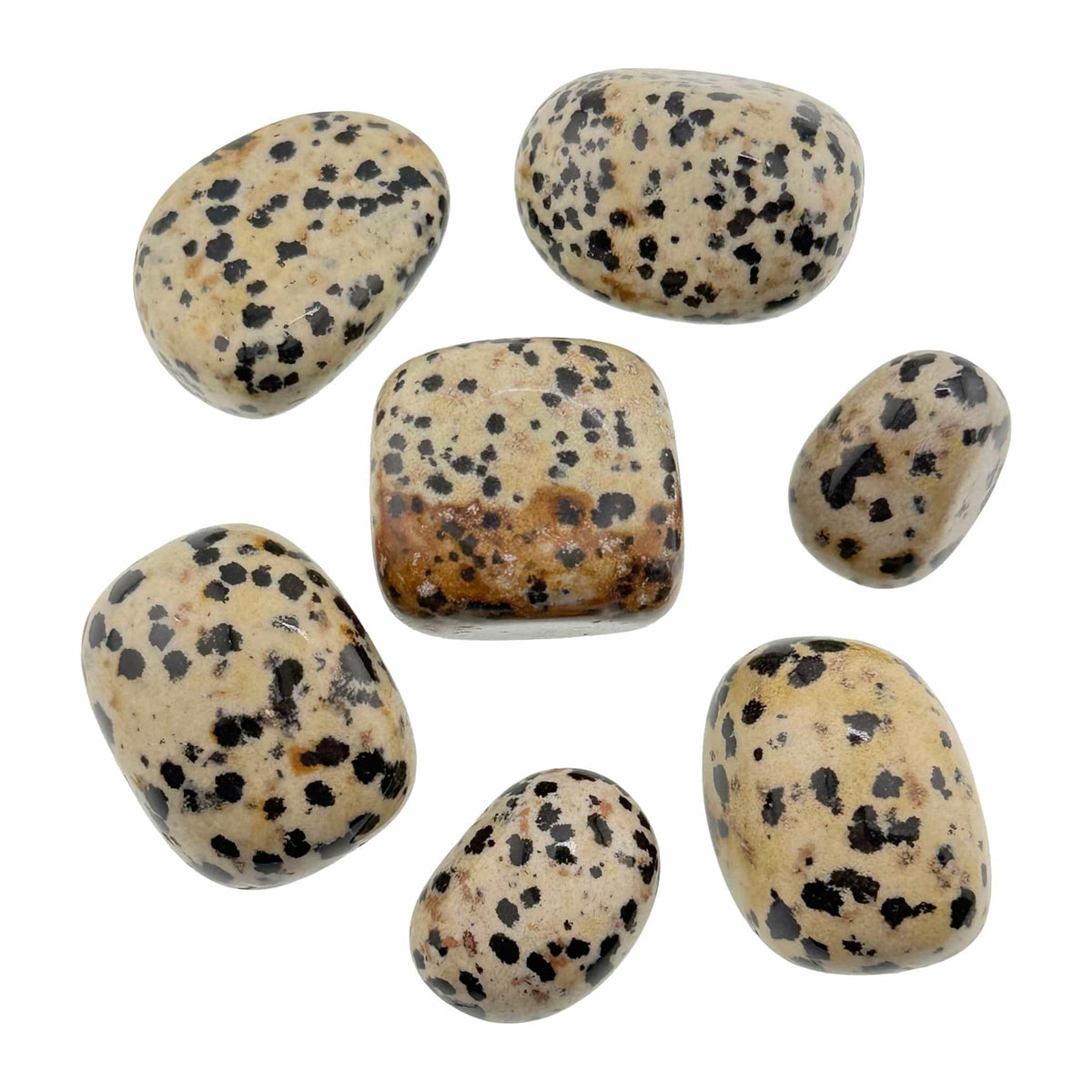 dalmation jasper tumbled stone