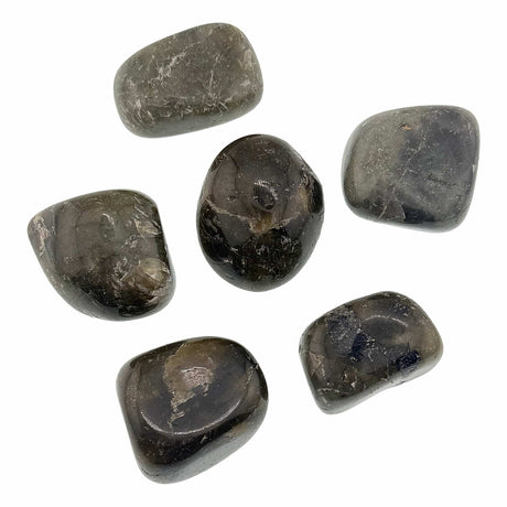 Labradorite Tumbled Stones Large