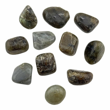 Labradorite Tumble Stones Medium