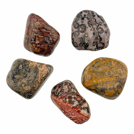 Leopardskin Jasper Large