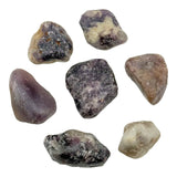 Lepidolite Tumble Stones Medium
