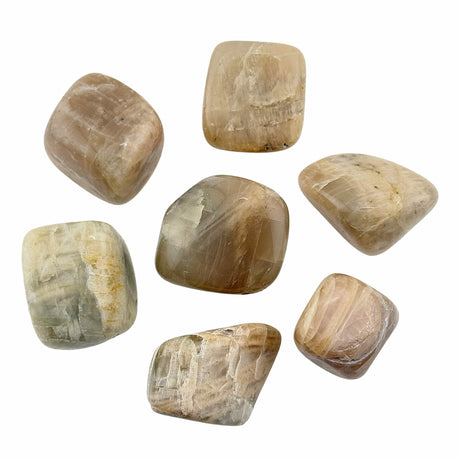 Moonstone Tumble Stones Medium
