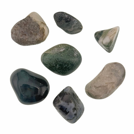 Moss Agate Tumbled Healing Crystals MEDIUM