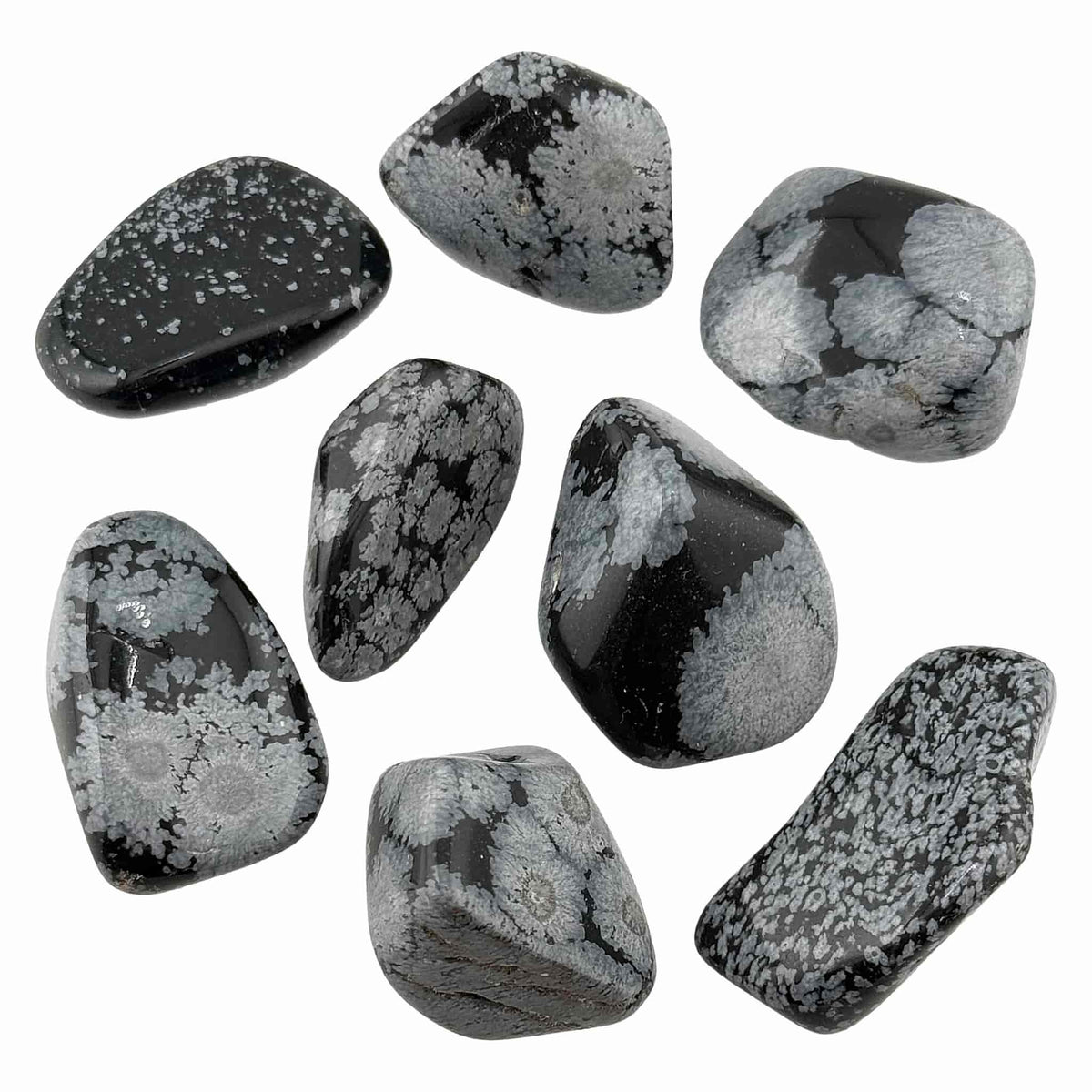 Snowflake Obsidian Tumble Stones Medium