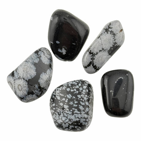 Snowflake Obsidian Tumble Stones Small