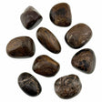 stromatolite tumbled stone