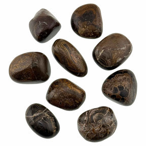 stromatolite tumbled stone
