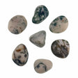 Tree Agate Tumbled Healing Crystals