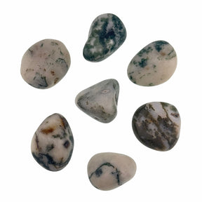 Tree Agate Tumbled Healing Crystals