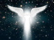 angel workshop 1&2