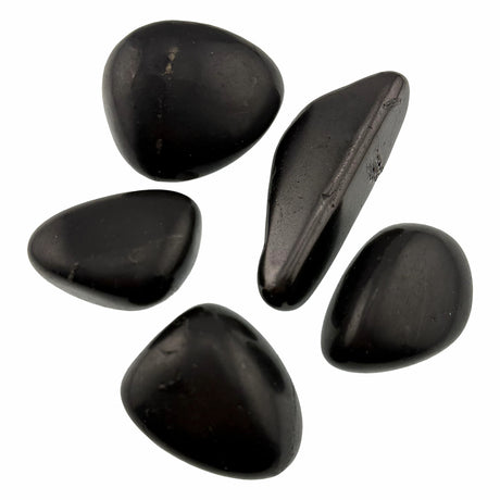 shungite large tumbled stone