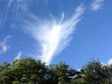 angel healing session