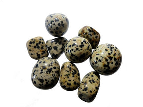 Dalmation Jasper Tumble Stones