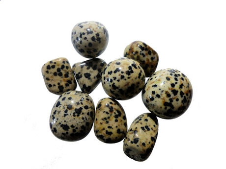 Dalmation Jasper Tumble Stones