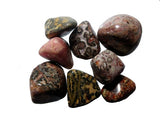 Leopardskin Jasper Tumble Stones medium