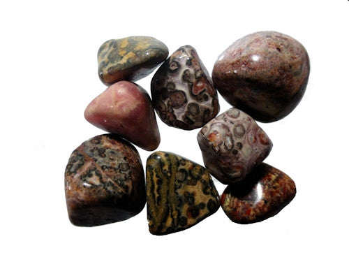 Leopardskin Jasper Tumble Stones medium