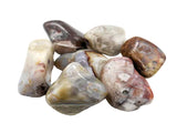 coyamito crazy lace agate