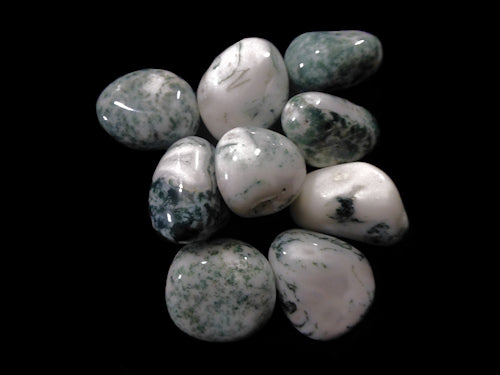 tree agate tumbled stone